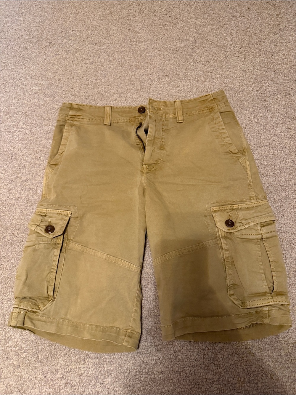 American Eagle Outfitters Men's Cargo Shorts